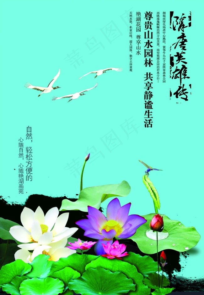 荷花海报psd模版下载