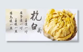 杭白菊宣传图
