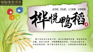 大米海报