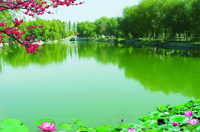 风景背景图片