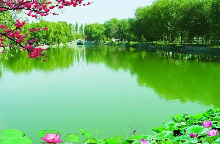 风景背景图片