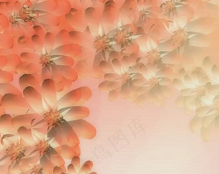花朵转场