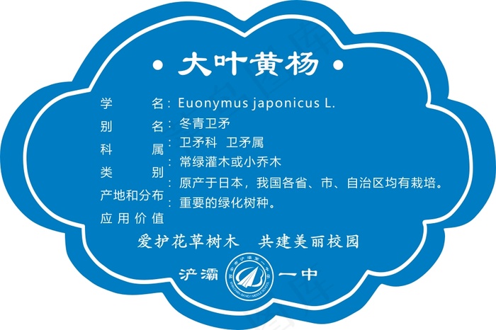 大叶黄杨cdr矢量模版下载