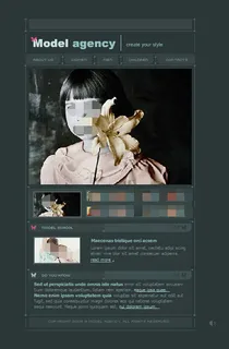灰色界面网页设计flash网站模板