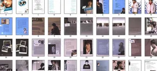 幸福的拾荒者图片