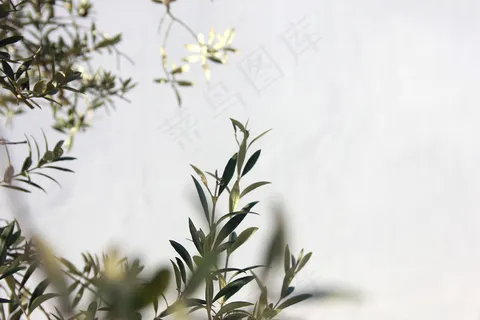 简约小清新文艺风插花静物摆拍背景