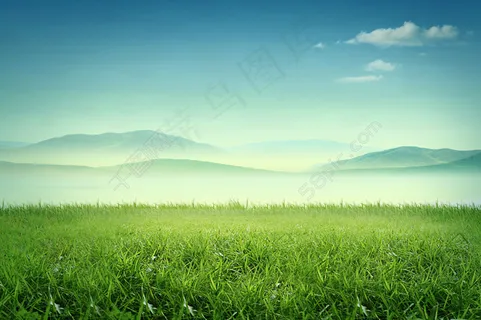绿草蓝天