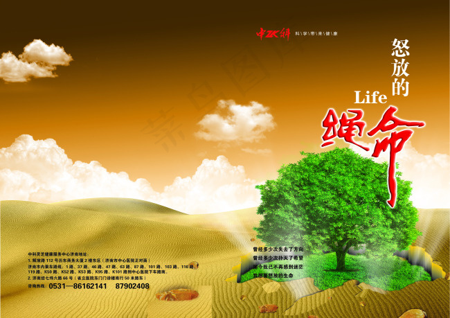 怒放的生命