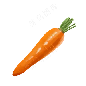 手绘新鲜蔬菜萝卜手绘新鲜蔬菜萝卜