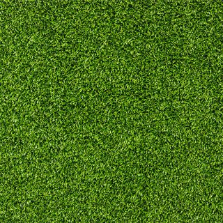 草皮图片