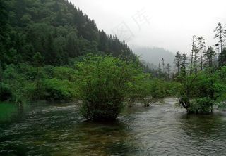 春天九寨沟图片