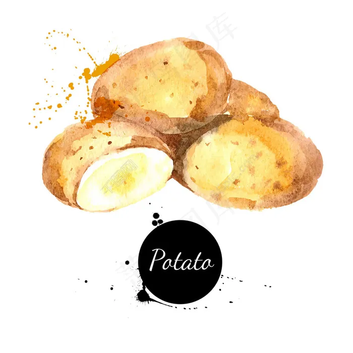 蔬菜设计psd模版下载