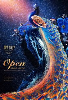 孔雀地产开盘广告