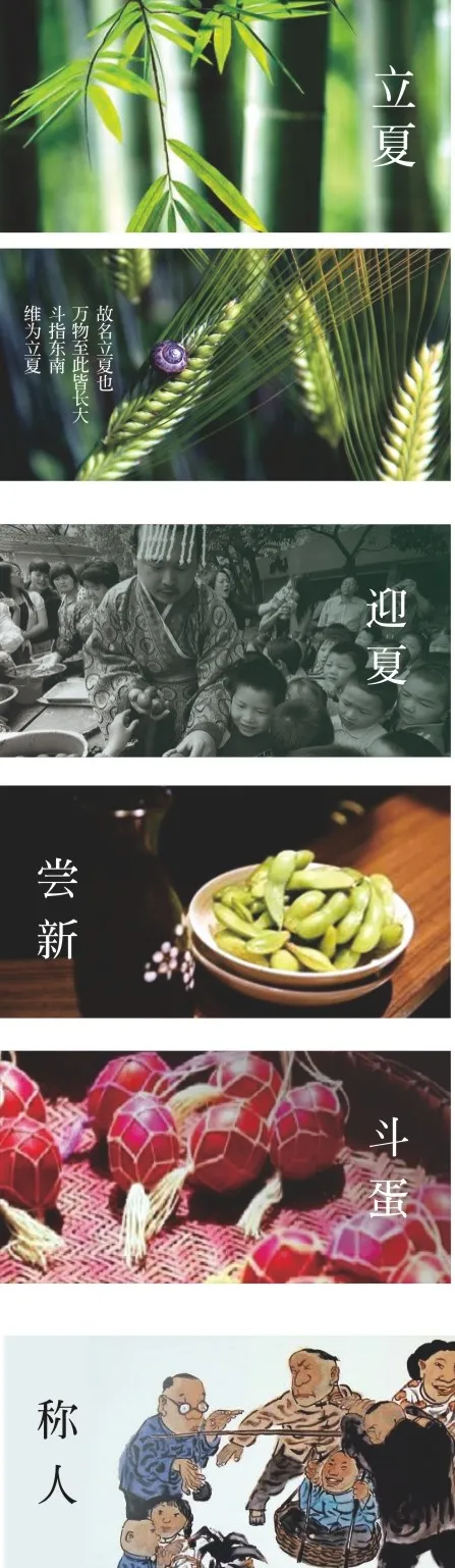 立夏风俗cdr矢量模版下载