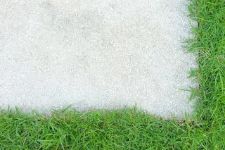 青草边框瓷砖背景