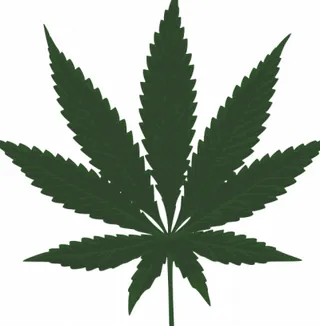 大麻叶矢量图像