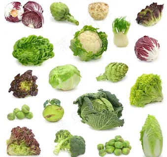 各种蔬菜图片
