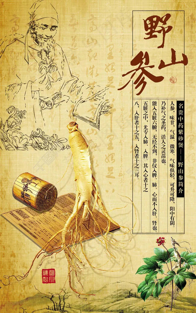 野山参古代宣传广告PSD素材(2598X4157(DPI:131))psd模版下载