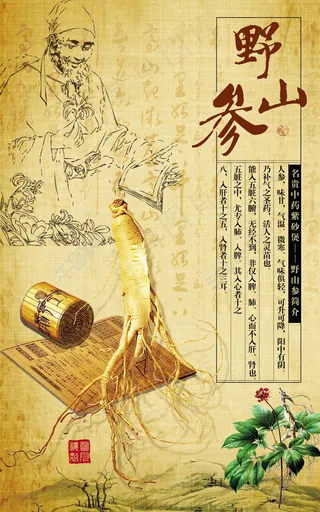 野山参古代宣传广告PSD素材