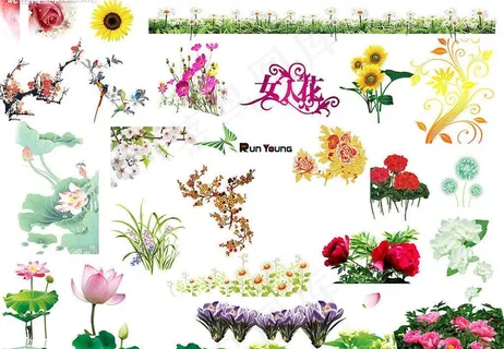 花的海洋图片 花的海洋图片