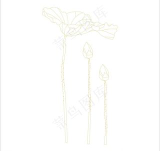 矢量荷花图片