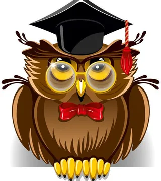 猫头鹰学士图片