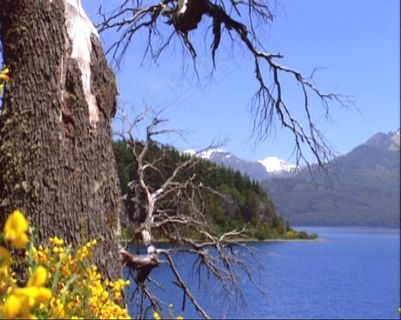 湖水视频素材素材下载