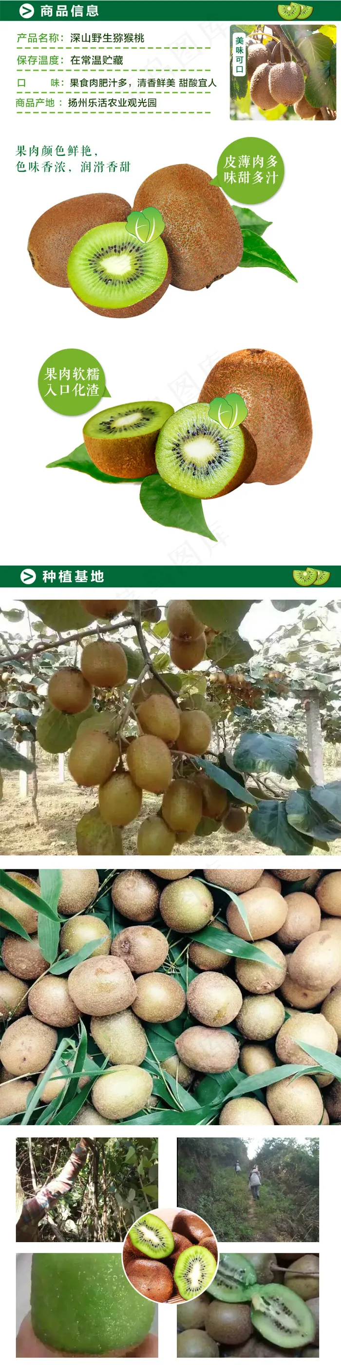 猕猴桃详情页psd下载psd模版下载