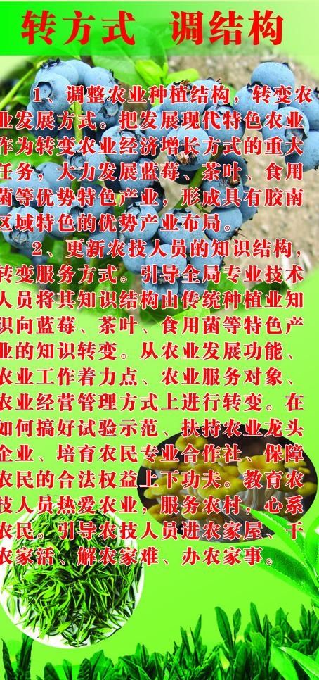 蓝莓 绿茶展板图片(2362X4724(DPI:50))psd模版下载