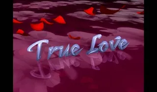 婚礼视频素材图片