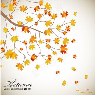 秋天的落叶背景与文本空间