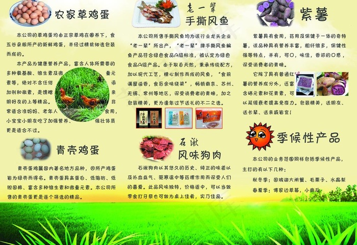 黄色 宣传单 三折页 农副产品 鸡...(3437X2551(DPI:300))psd模版下载