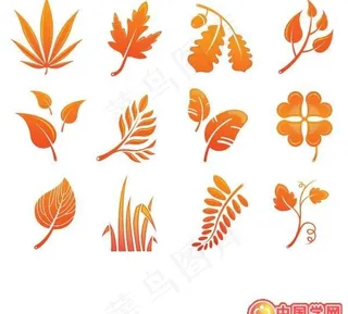 各种漂亮的金黄色树叶剪影矢量素材