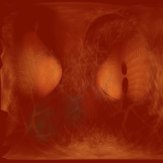 心脏模型 心脏模型