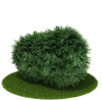 植物国外精品素材装饰素材免费下载家... 植物国外精品素材装饰素材免费下载家...
