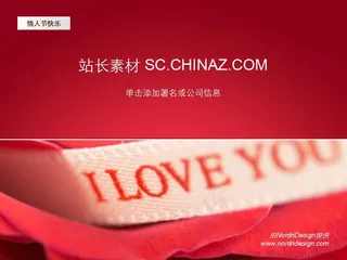 红色情人节PPT模板