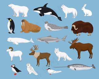 手绘卡通北极生物矢量素材