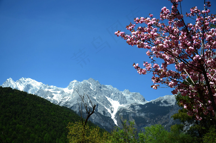 玉龙雪山图片