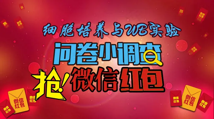 抢红包psd模版下载