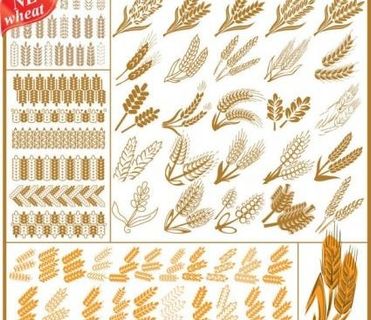 小麦模式04矢量