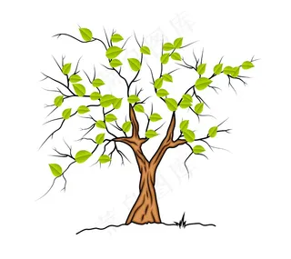 春天的大自然的树