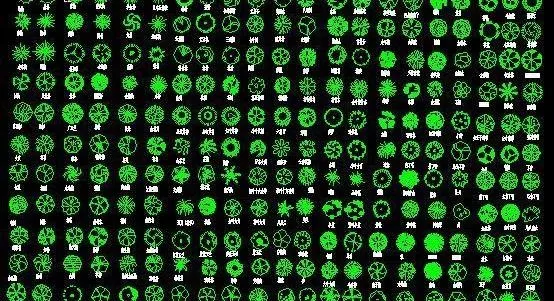 园林树木CAD图库