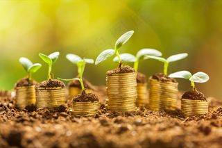 金币嫩芽小树苗孵化培育理财商务金融财富主题素材