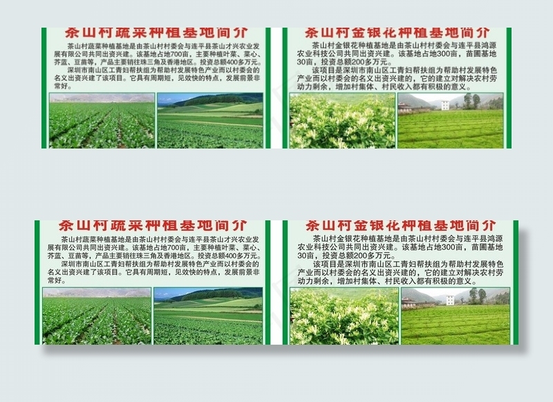 茶山村金银花 蔬菜种植基地图片cdr矢量模版下载