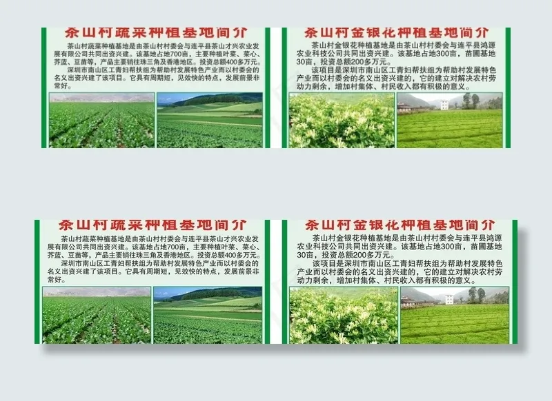 茶山村金银花 蔬菜种植基地图片cdr矢量模版下载
