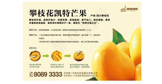 芒果eps,ai矢量模版下载