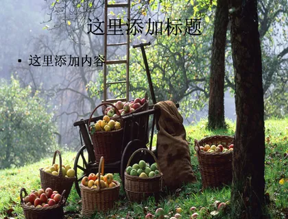 唯美风情秋天PPT(6) 唯美风情秋天PPT(6)