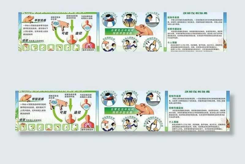 猪流感宣传画图片
