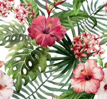 红色朱槿花矢量素材 红色朱槿花矢量素材