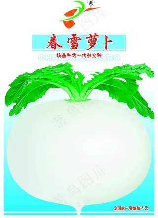 种子包装设计图片